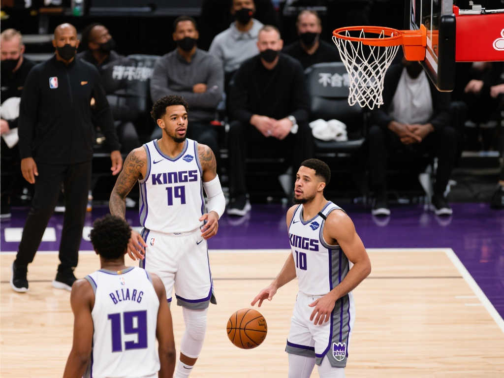 供了丰富的 供了丰富的